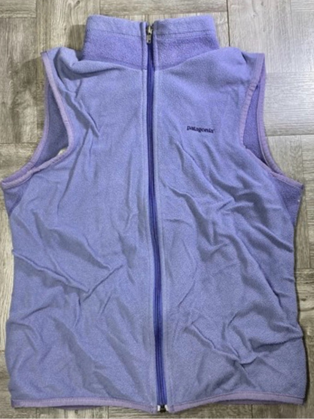 Patagonia zip up fleece vest